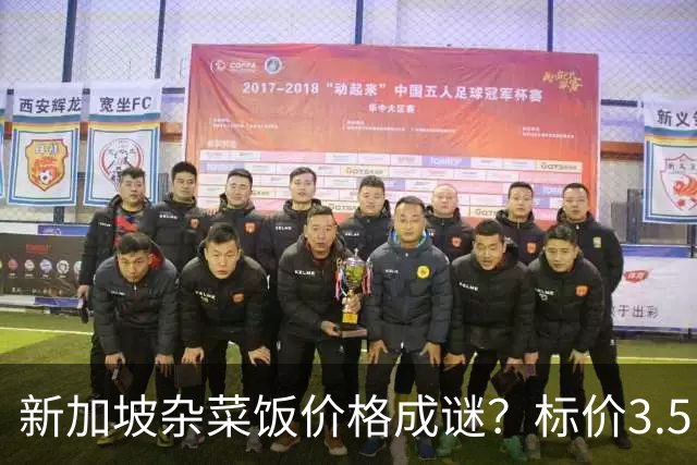 新加坡杂菜饭价格成谜？标价3.5，结账却收6.7新元，网友直呼“太疯狂”